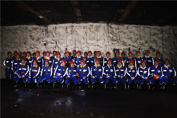 創(chuàng)新聯(lián)盟專家團(tuán)隊(duì)在陜煤（右起左四為何滿潮院士、宋振騏院士、張鐵崗院士、煤炭工業(yè)協(xié)會(huì)副理事長劉峰